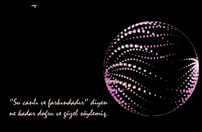 SS_Su_canli_ve_farkindadir_2